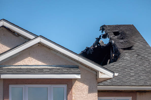 Top rated local Firefighting Water Removal specialists in Beltsville, MD